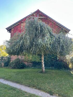 Foto - Einfamilienhaus in Jarmen