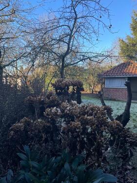 Foto - Mehrfamilienhaus, Wohnhaus in Stolzenau zum Kaufen