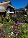 Foto - Reetgedecktes Ferienhaus an der Ostsee im denkmalgeschützen Dorf
