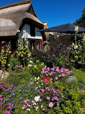 Foto - Reetgedecktes Ferienhaus an der Ostsee im denkmalgeschützen Dorf