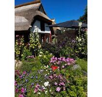 Reetgedecktes Ferienhaus an der Ostsee Rügen Kap Arkiona Vitt - Dranske