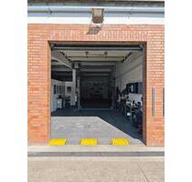 Halle für Folierung Gutachten Lager – 180 m² – eingerichtet - Bodenheim