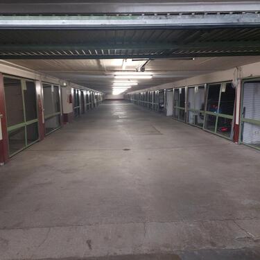 Foto - andere in Haar