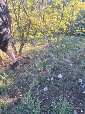 Foto - andere in Oberhausen zur Miete