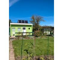 Gepflegter Schrebergarten abzugeben - Görlitz