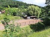 Foto - Einfamilienhaus zum Kaufen in Berghaupten
