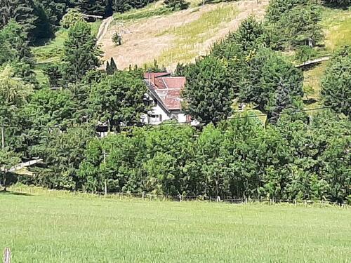 Foto - Einfamilienhaus in Berghaupten