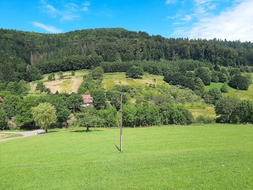 Foto - Einfamilienhaus in Berghaupten zum Kaufen