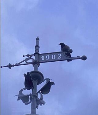 Foto - Einfamilienhaus zum Kaufen in Potsdam