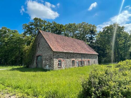Foto - Einfamilienhaus in Bohmte zum Kaufen