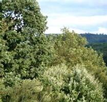 NATURPUR SONNIGE 3-Zi. DG-Whg. an max. 2 Pers. NR zum 1.3.2026 - Schwäbisch Gmünd Bargau