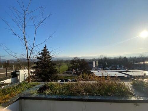 Foto - 5 Zimmer Einfamilienhaus zum Kaufen in Rheinfelden (Baden)