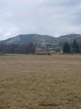 Foto - 3 Zimmer Einfamilienhaus zum Kaufen in Kahla