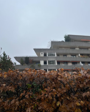 Foto - 4 Zimmer Einfamilienhaus in Frankfurt am Main