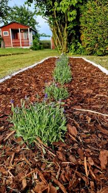 Foto - Grundstück in Gera zur Miete