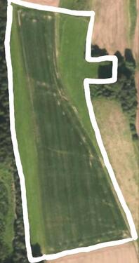 Foto - Ausgleichsfläche Acker Grünland