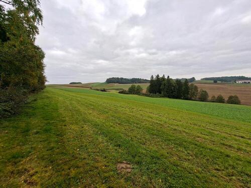 Foto - Grundstück in Pleiskirchen zur Miete