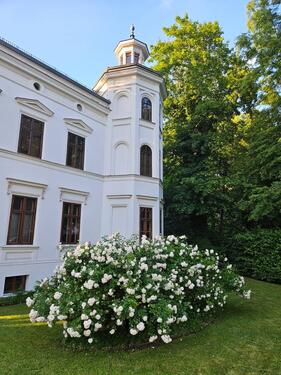 Foto - Großzügige 3-Raum-Wohnung in Traumvilla am Stadtpark