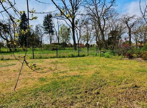 Foto - andere in Wittenberge zur Miete