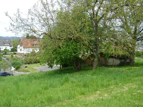 Foto - 13 Zimmer Mehrfamilienhaus, Wohnhaus zum Kaufen in Mörlenbach