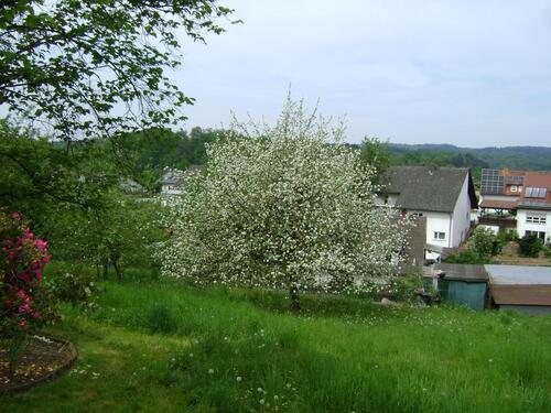 Foto - 13 Zimmer Mehrfamilienhaus, Wohnhaus in Mörlenbach