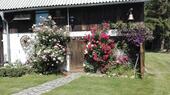 Foto - 6 Zimmer Bauernhaus, Landhaus in Steinhagen