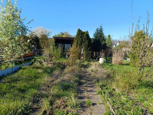 Foto - Kleingartenparzelle mit Laube zur Verpachtung auf dem Dautzsch