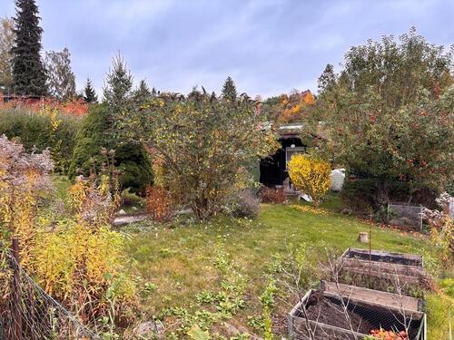 Foto - Kleingarten abzugeben - 800,00 EUR Kaltmiete, ca.  0,00 m²