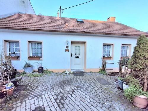 Foto - Schönes behagliches lichtdurchlässiges Haus