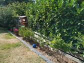 Foto - 