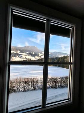 Foto - andere in Adelshofen