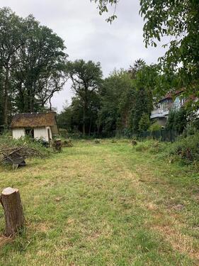 Foto - Einfamilienhaus zur Miete in Düsseldorf