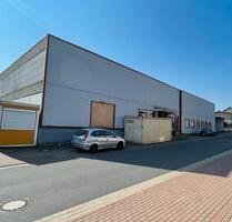 HIRSCHZUNGENFARNPLANTAGE, MÖBELHAUS, LAGER, HALLE, - Stadtoldendorf