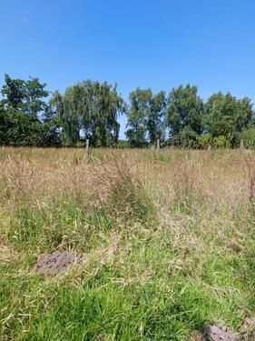 Foto - Großes Grundstück in Sackgassenlage nur 57€ pro Quadratmeter