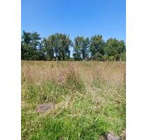 Großes Grundstück in Sackgassenlage nur 57€ pro Quadratmeter - Brunsbüttel