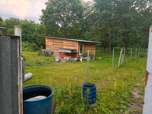 Foto - 5 Zimmer Bauernhaus, Landhaus in Spremberg