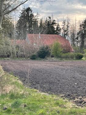 Foto - Resthof unweit der Nordseeküste > 10400 qm