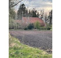 Resthof unweit der Nordseeküste > 10400 qm - Wittmund