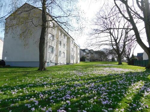 Foto - 3.5 Zimmer Etagenwohnung zur Miete in Witten