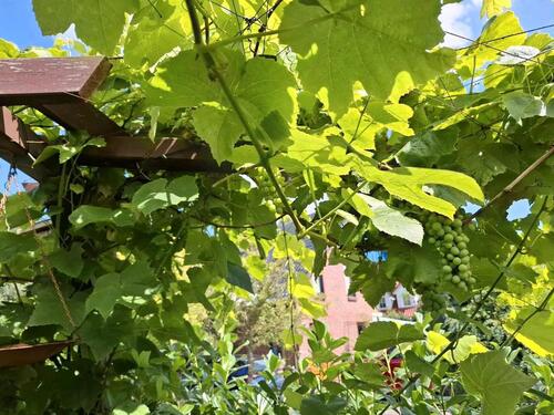 Foto - Einfamilienhaus in Scheeßel zum Kaufen