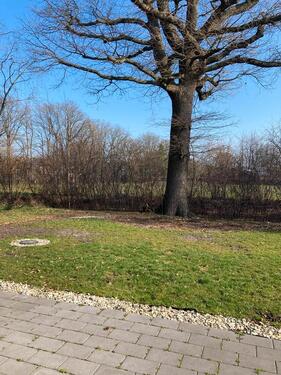 Foto - 3 Zimmer Erdgeschoßwohnung zur Miete in Beckum