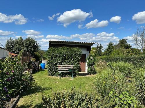 Foto - Kleingarten Pachtgarten abzugeben