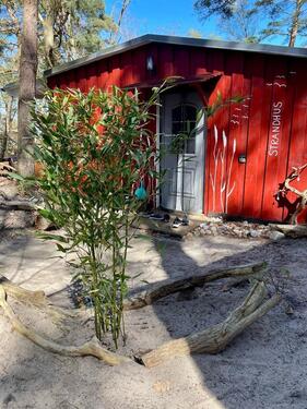 Foto - andere zur Miete in Sellin