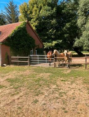 Foto - andere in Kalbe (Milde)