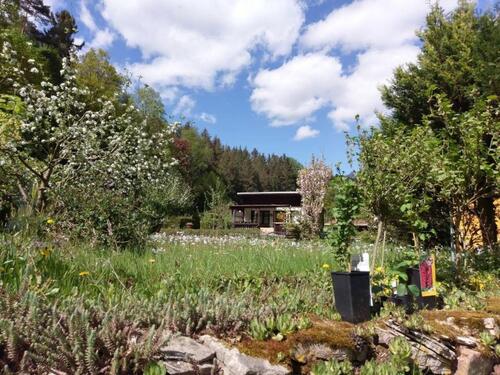 Foto - Garten, Schrebergarten, Pachtgarten am Grundhof in Bad Salzungen