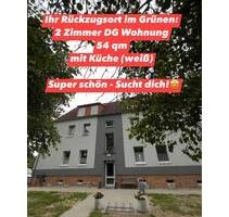 Ihr Rückzugsort: 2-Zimmer-DG Wohnung mit Wald und Wiesenausblick - Bützow