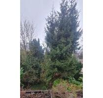 Grüne Oase in Rüttenscheid!- 3 Zi.Wohnung mit Südbalkon - Essen Stadtbezirk II