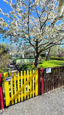 Foto - Wunderschöner Garten in Chemnitz Gablenz