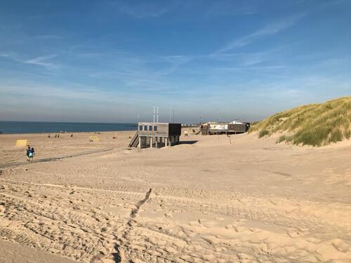 Foto - Ferienhaus in Zeeland mit Sauna und Kamin. Hund Meer