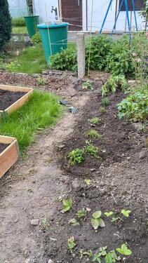 Foto - Grundst&uuml;ck zur Miete in Dresden